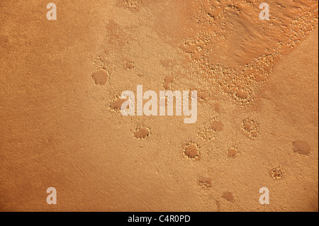 Vue aérienne de cercles de fées, désert du Namib. Banque D'Images