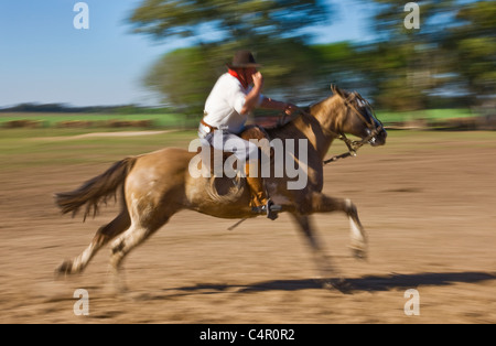 Gaucho équitation à cheval dans un ranch, Argentine Banque D'Images