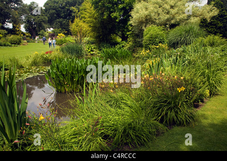 La Beth Chatto Garden et de pépinière, Elmstead Market, Essex, Angleterre Banque D'Images