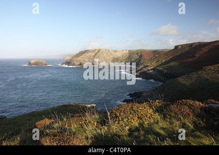 La vue vers le nord le long de la côte de Cornouailles près de Château de Tintagel Cornwall England UK Banque D'Images