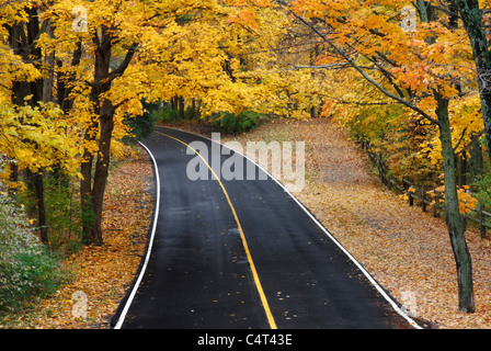 Un chemin asphalté à travers le parc en automne, Sharon Woods, le sud-ouest de l'Ohio Banque D'Images