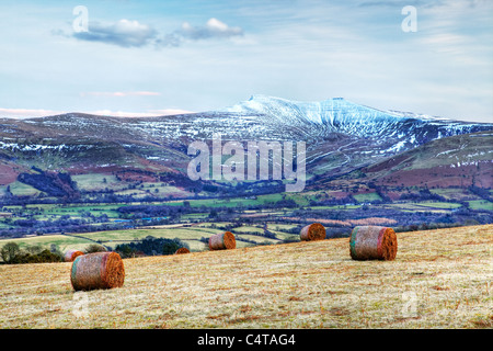 Pen Y Fan et du maïs de Mynydd Illtud, parc national de Brecon Beacons, le Pays de Galles Banque D'Images