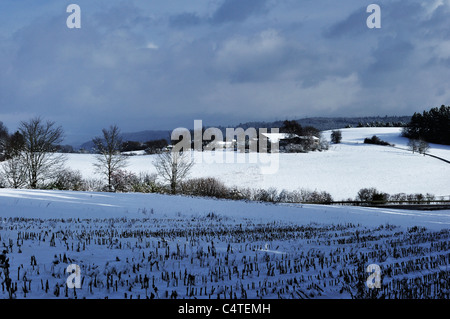 Villingen-Schwenningen, forêt-Noire-baar, Baden-Wurttemberg, Allemagne Banque D'Images