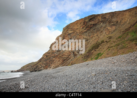 Plage à Millook Haven avec des falaises d'intérêt géologique, North Cornwall, England, UK Banque D'Images