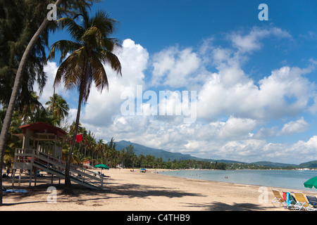 La belle bordée de cocotiers Luquillo Beach situé sur la grande île de Porto Rico. Banque D'Images