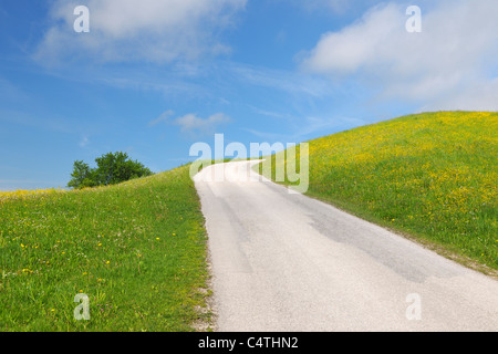 Route vide et prairie, Mostviertel, Basse Autriche, Autriche Banque D'Images
