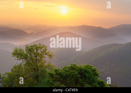 Le lever du soleil sur les montagnes, Nothweiler, Pfalzerwald, Rhénanie-Palatinat, Allemagne Banque D'Images