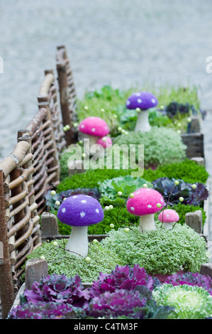 Aanita Muscaria et Kale floraison, Salzbourg, Autriche Banque D'Images