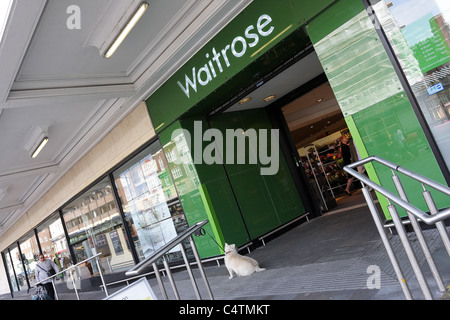 Signalétique Waitrose à leur succursale de Finchley Road. Banque D'Images