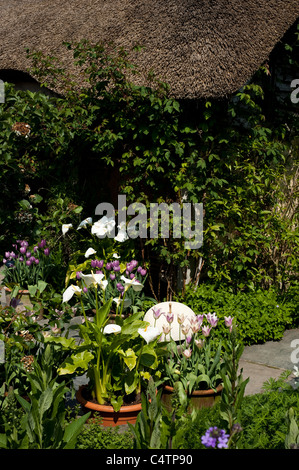 Le Chalet jardin en avril, RHS Rosemoor, Devon, Angleterre, Royaume-Uni Banque D'Images