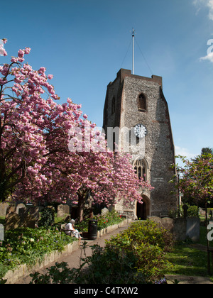 Saint Mary's Church,Walton-on-Thames, Surrey, Angleterre Banque D'Images