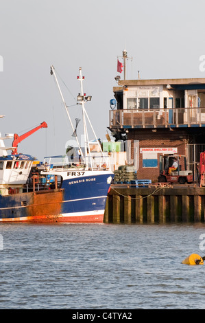 Port de Bridlington au soleil du soir (bateau de pêche amarré par la jetée, hommes travaillant sur le quai à poissons, mer calme) - ville pittoresque de la côte du Yorkshire du Nord, Angleterre, Royaume-Uni. Banque D'Images