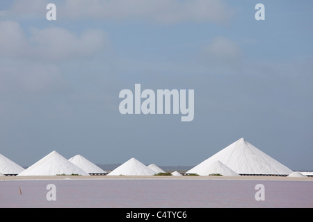 Marmites et piliers de sel à Bonaire, une île des Caraïbes, une partie des Antilles néerlandaises. Photo D.V. Banque D'Images