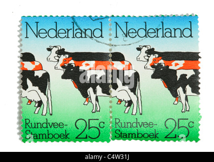 Timbres-poste de vaches en provenance des Pays-Bas Banque D'Images