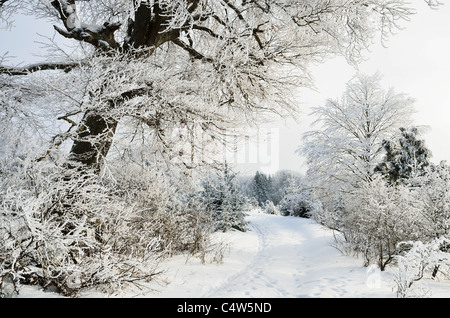 Paysage d'hiver, près de Albstadt, Jura souabe, Bade-Wurtemberg, Allemagne Banque D'Images