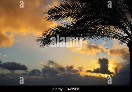 Coucher de soleil sur l'océan Atlantique, Madère, Portugal Banque D'Images