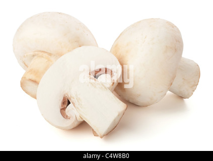 Champignon champignons sur fond blanc Banque D'Images