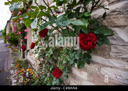 Rose cottages couverts dans le Peak District village d'Ashford dans le Derbyshire, de l'eau Banque D'Images