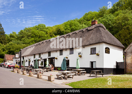 Le pub du village Hambro Arms avec toit de chaume dans le joli village anglais de Milton Abbas, Dorset, England, UK Banque D'Images