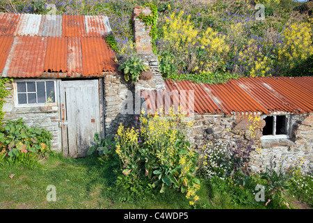 Prussia Cove ; cabane de pêcheur, Cornwall Banque D'Images