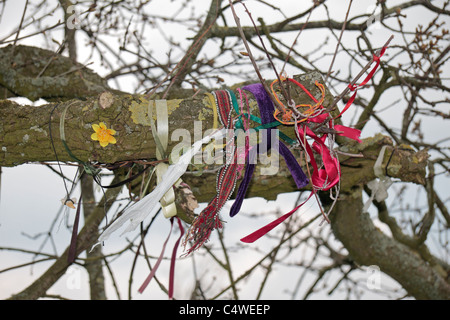 Collection de pièces de tissu attaché à un arbre près de la West Kennet Long Barrow, Wiltshire, Angleterre. Banque D'Images