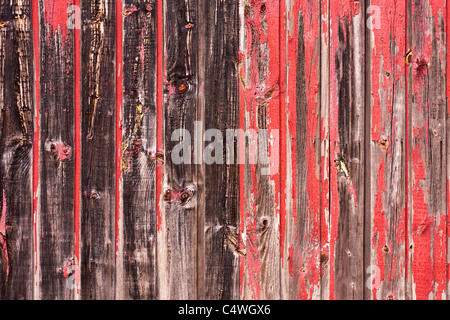 Une vieille grange usés ou clôture en bois avec des copeaux de peinture rouge. Banque D'Images