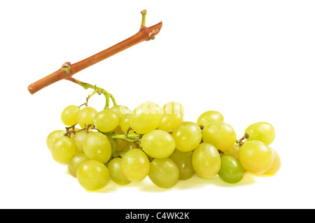 Raisins sur fond blanc Banque D'Images