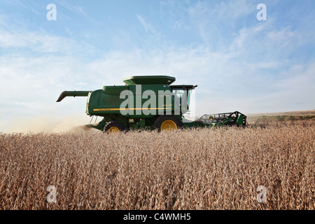 Moissonneuse-batteuse John Deere de la récolte de soja dans un champ dans l'Iowa. Banque D'Images