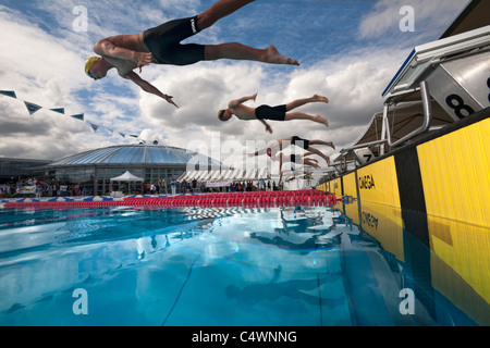 Les nageurs de faire un début de plongée au cours de leur sport de compétition, (France). Départ plongé lors d'une compétition de natation (France). Banque D'Images