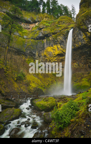 USA (Oregon), comté de Multnomah, Elowah Falls Banque D'Images