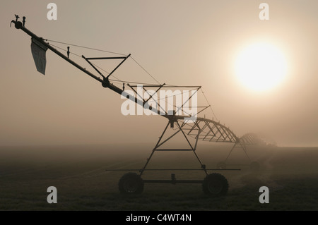 USA (Oregon), comté de Marion, l'irrigation et le brouillard Banque D'Images