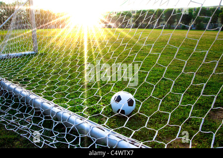 Un ballon de soccer dans un champ d'herbe et l'objectif Banque D'Images