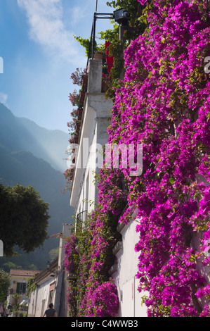 Italie - Positano. Bougainvilliers colorés couvre une maison dans les étroites rues de montagne. Banque D'Images