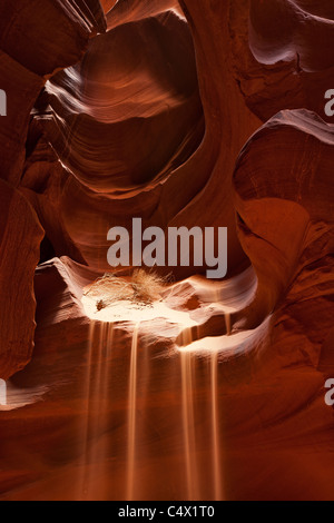 La lumière du soleil éclairant les courbes sculptées et des lignes sculptées dans les murs de grès rouge d'Antelope Canyon par l'érosion hydrique des terres Navajo Arizona US Banque D'Images