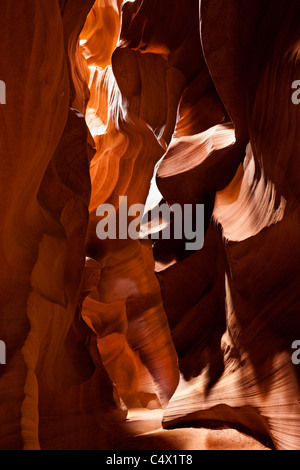 La lumière du soleil éclairant les courbes sculptées et des lignes sculptées dans les murs de grès rouge d'Antelope Canyon par les inondations et l'érosion hydrique des terres Navajo Arizona US Banque D'Images