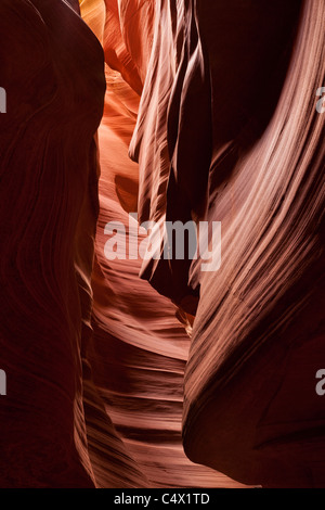 La lumière du soleil éclairant la forme de tête d'aigle sculptée par les inondations dans les murs de grès rouge d'Antelope Canyon Arizona Page Terres Navajo du Sud-Ouest Banque D'Images