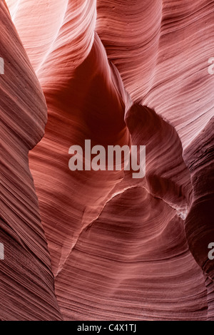 La lumière du soleil éclairant les courbes sculptées et des lignes sculptées dans les murs de grès rouge d'Antelope Canyon par les inondations et l'érosion hydrique des terres Navajo Arizona US Banque D'Images