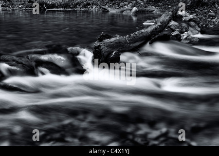 Belle Lumière dans slow motion paisible relaxant de l'eau de la rivière soyeux circulant sur les rochers et les arbres tombés couverts dans les feuilles nature noir et blanc Banque D'Images