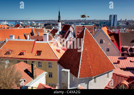 Centre historique (vieille ville), Tallinn, Estonie Banque D'Images