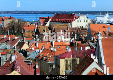 Centre historique (vieille ville), Tallinn, Estonie Banque D'Images