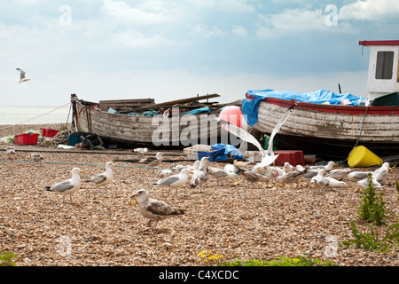 Les mouettes et les vieux bateaux sur la plage à Aldeburgh, dans le Suffolk UK Banque D'Images