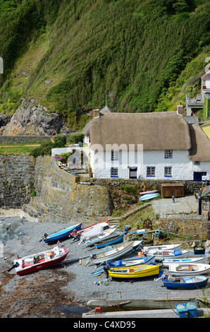 Les bateaux de pêche amarrés sur la plage à Cadgwith Cove, Cornwall, UK Banque D'Images