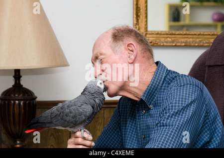 Un couple de personnes âgées embrasse son homme animal perroquet gris d'Afrique, Psittacus erithacus. Banque D'Images