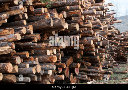 Pile de journaux utilisés dans une chaudière biomasse dans un Darby, Montana l'école. Banque D'Images