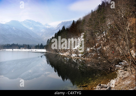 Vue sur le lac de Bohinj dans le parc national du Triglav de Slovénie Banque D'Images