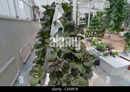Le parc à thème Epcot Pavillon Terre Walt Disney World Resort Orlando la Floride le derrière La Tour & Graines vivant avec les terres d' Banque D'Images