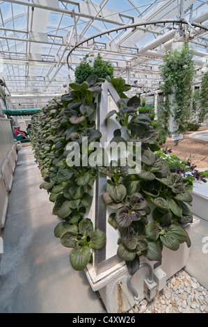 Le parc à thème Epcot Pavillon Terre Walt Disney World Resort Orlando la Floride le derrière La Tour & Graines vivant avec les terres d' Banque D'Images