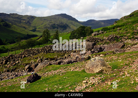 En regardant vers le brochet O' Blisco de Mickleden dans le Parc National du Lake District, Cumbria. Banque D'Images