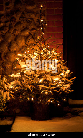 Les lumières d'arbre de Noël la décoration d'un vrai sapin naturel et recouvert de neige à l'extérieur d'une maison Banque D'Images