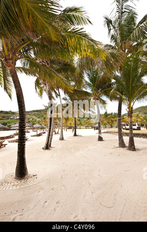 Chaises de plage et parasols au Canouan Estate Resort & Villas à Carenage Bay, île de Canouan, Saint-Vincent-et-les Grenadines. Banque D'Images